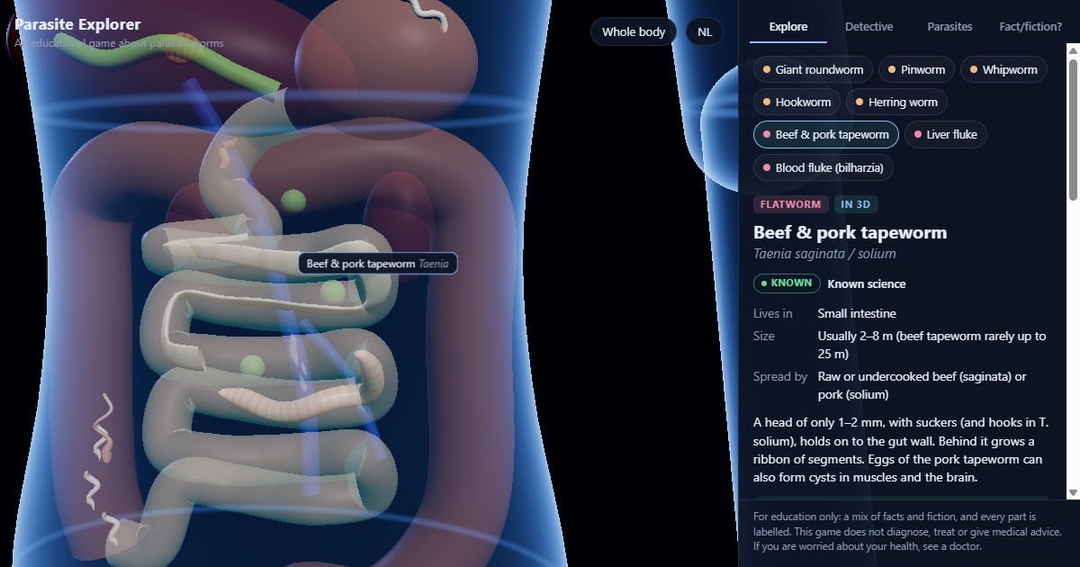 The Parasite Explorer: a see-through 3D body with a tapeworm in the small intestine